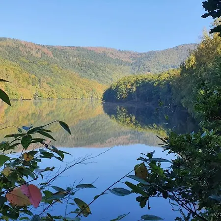 Sterneneifel * Heimbach