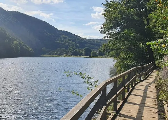 Sterneneifel Heimbach