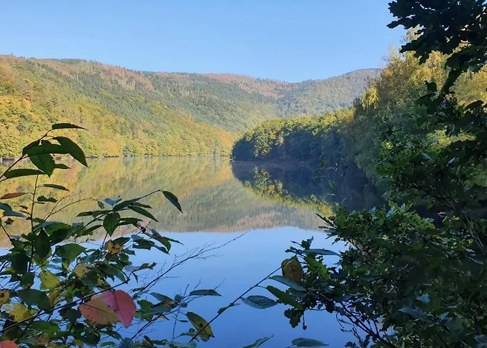 Sterneneifel * Хаймбах